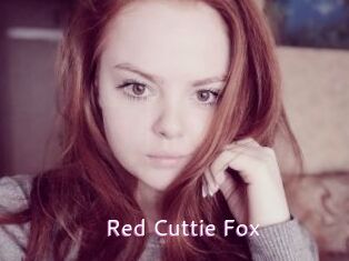 Red_Cuttie_Fox
