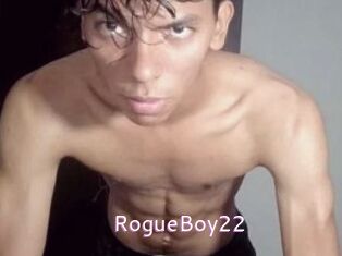 RogueBoy22