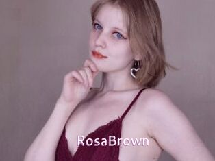 RosaBrown