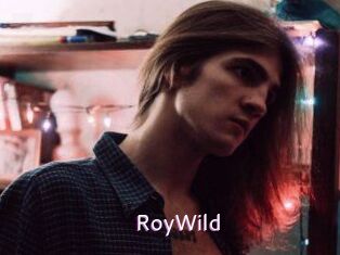 RoyWild
