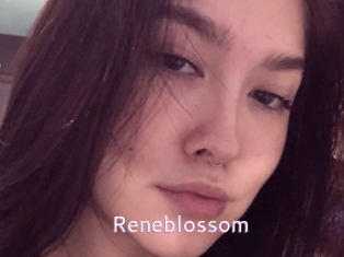 Reneblossom