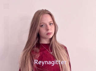 Reynagitter