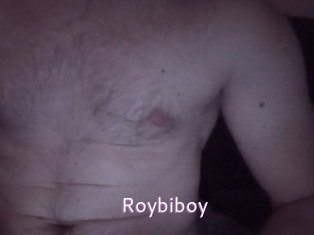 roybiboy Just Amateurs
