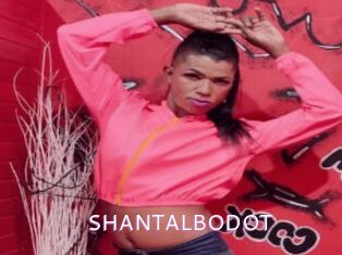 SHANTALBODOT