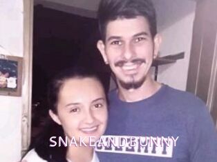 SNAKEANDBUNNY