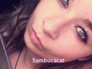 Sambucacat