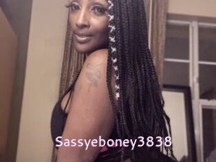Sassyeboney3838