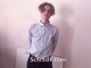 SchrodKitten