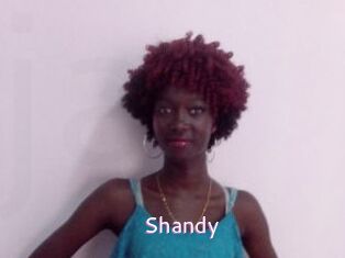 Shandy