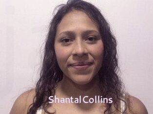 ShantalCollins Just Amateurs