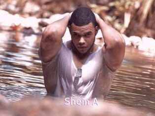 Shein_A