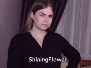 ShiningFlower Just Amateurs