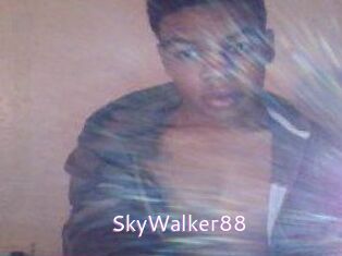 SkyWalker88