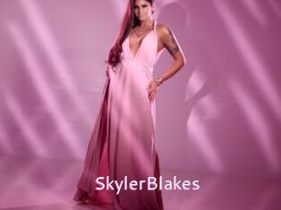 SkylerBlakes Just Amateurs