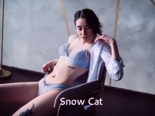 Snow_Cat