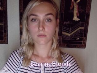SoaringBlonde