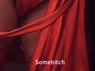 Somebitch