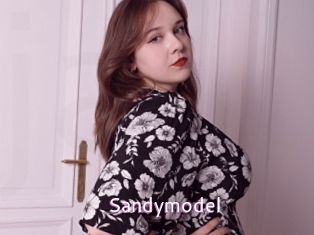 Sandymodel