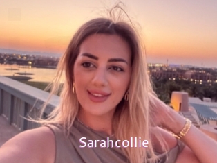Sarahcollie