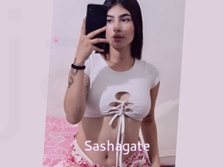 Sashagate
