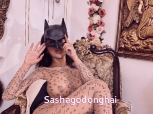 Sashagodonghai