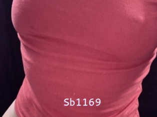 sb1169 Just Amateurs
