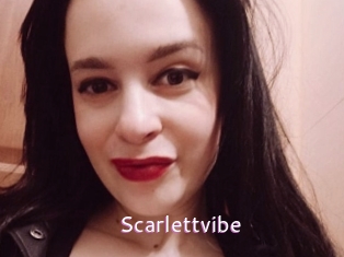 scarlettvibe Just Amateurs
