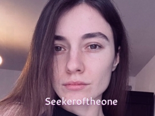 Seekeroftheone