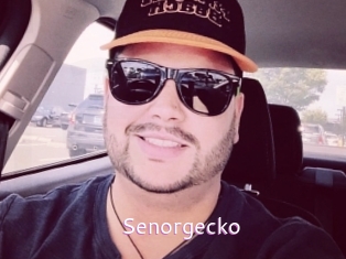 Senorgecko