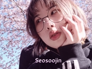 Seosoojin