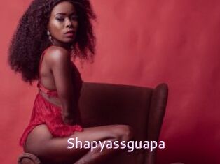 Shapyassguapa