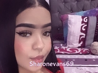sharonevans69 Just Amateurs