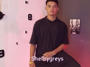 Shelbygreys