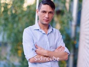 Sid_incube