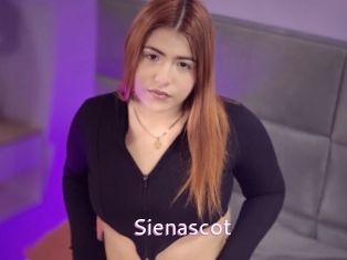 Sienascot