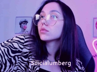 Silicialumberg