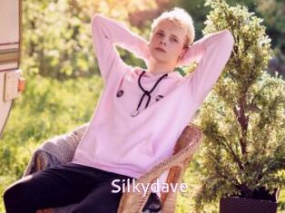 Silkydave