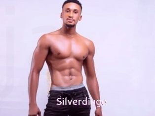 silverdingo Just Amateurs