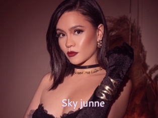 Sky_junne