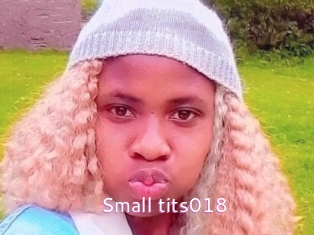 Small_tits018