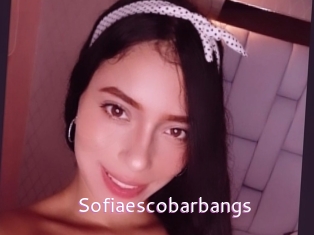 Sofiaescobarbangs