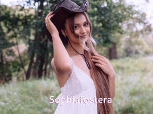 Sophiafostera