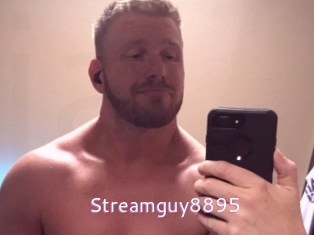 Streamguy8895
