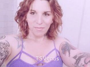 TS_Venus