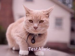 TestAlaric