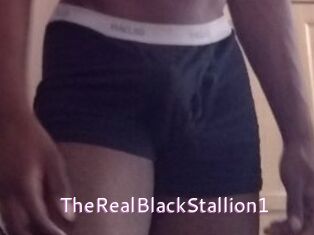TheRealBlackStallion1