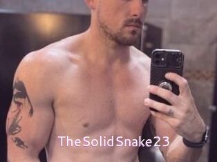 TheSolidSnake23