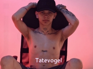 Tatevogel