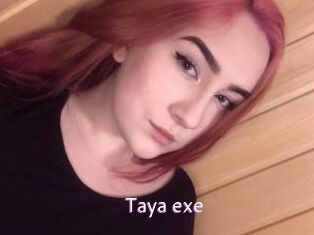 Taya_exe