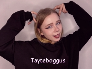 Tayteboggus